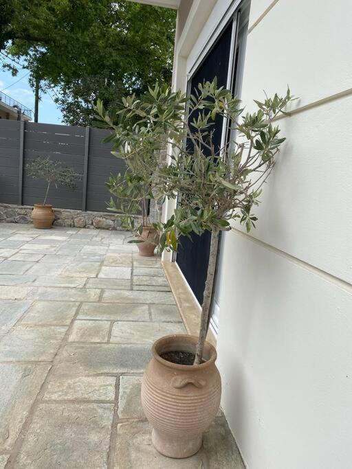 Villa Oleander Agios Nikolaos Loutra Edipsou Exteriör bild