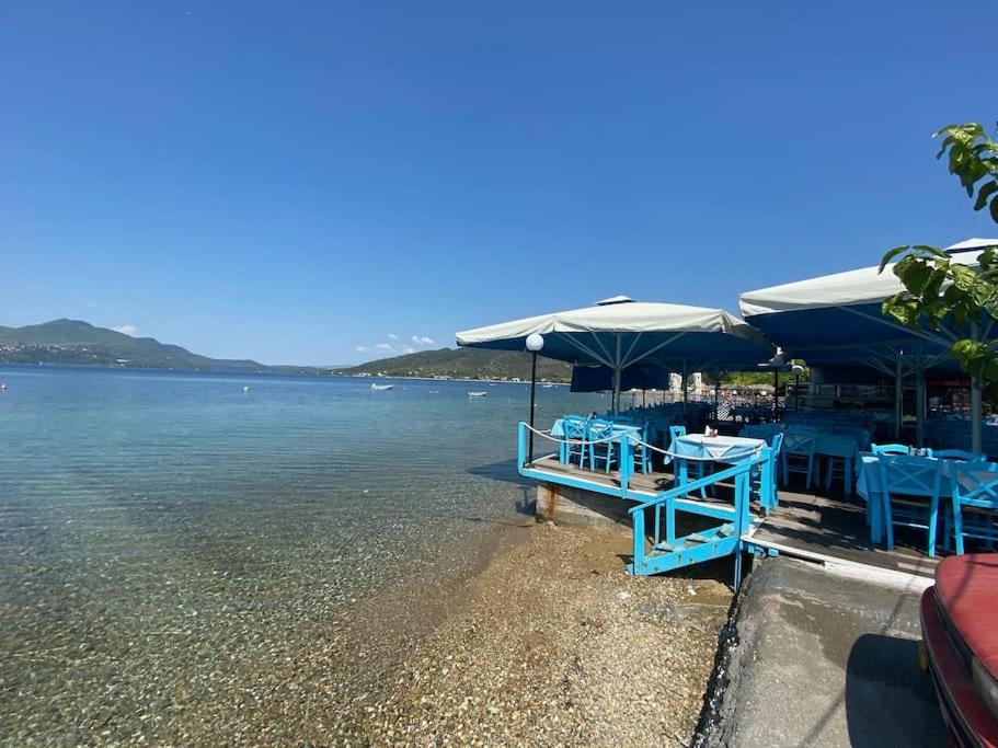 Villa Oleander Agios Nikolaos Loutra Edipsou Exteriör bild